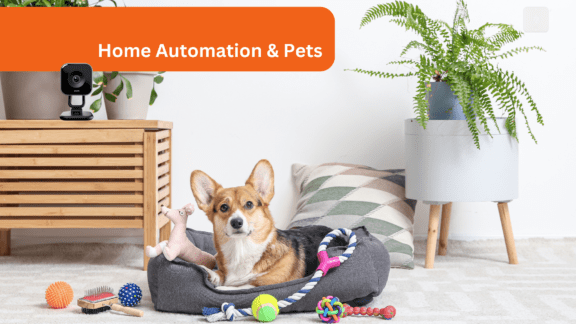 Why a Smart Home System is Great for Pet Owners